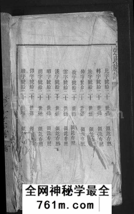 湖南张氏族谱-张氏族谱 [总卷数不详].pdf电子版