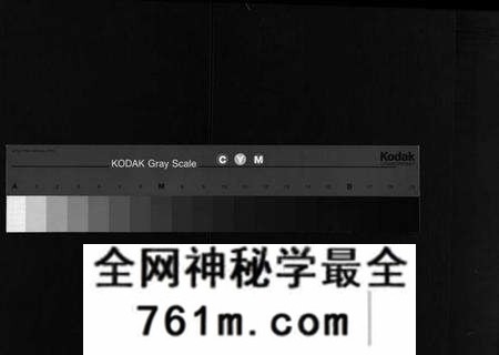 湖北王氏族谱-王氏族谱[21卷,首4卷](别名：Wong Shi Zu Pu、沙溪王氏族谱).pdf电子版