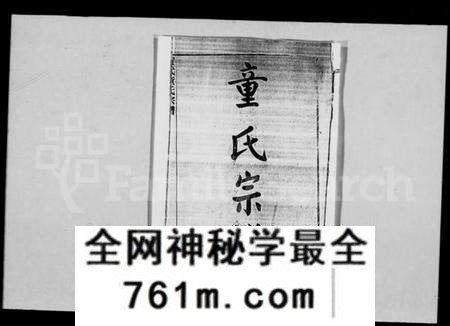 湖北童氏族谱-童氏宗谱 [28卷,首3卷](别名：黄武童氏宗谱).pdf电子版