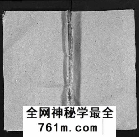 湖北蔡氏族谱-蔡氏宗谱[12卷](别名：Cai Shi Zong Pu).pdf电子版