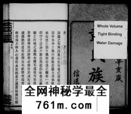 湖南彭氏族谱-皁角树彭氏四修族谱 [派纪4卷,齿录16卷,首3卷,末1卷].pdf电子版
