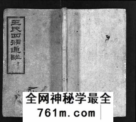 湖南王氏族谱-王氏四修通谱 [13卷,首9卷].pdf电子版