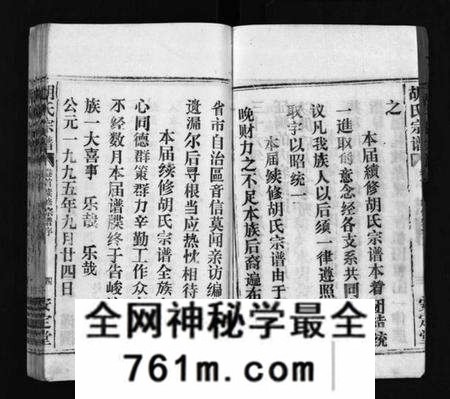 湖北胡氏族谱-胡氏宗谱 [11卷,首1卷](别名：楚黄胡氏宗谱、楚黄胡氏续修宗谱、Hu shi zong pu).pdf电子版