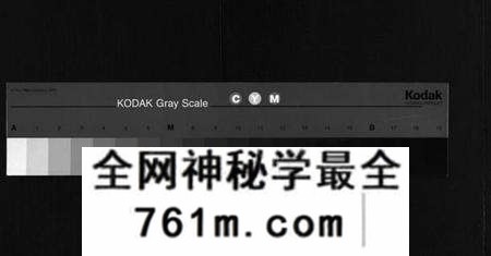 湖北王氏族谱-王氏宗谱 [8卷,首1卷](别名：Wang Shi Zong Pu).pdf电子版
