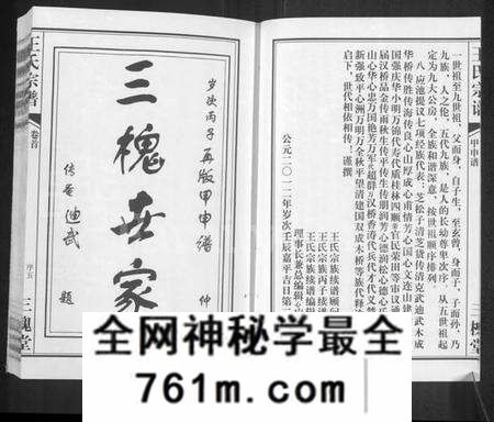 湖北王氏族谱-王氏宗谱 [11卷,首1卷].pdf电子版