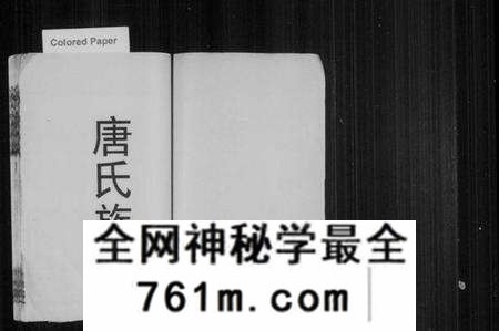 湖南唐氏族谱-唐氏族谱 [12卷,首末各1卷].pdf电子版