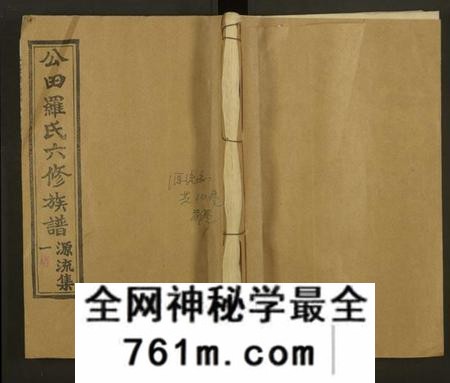 湖南罗氏族谱-公田罗氏族谱[各集分卷].pdf电子版