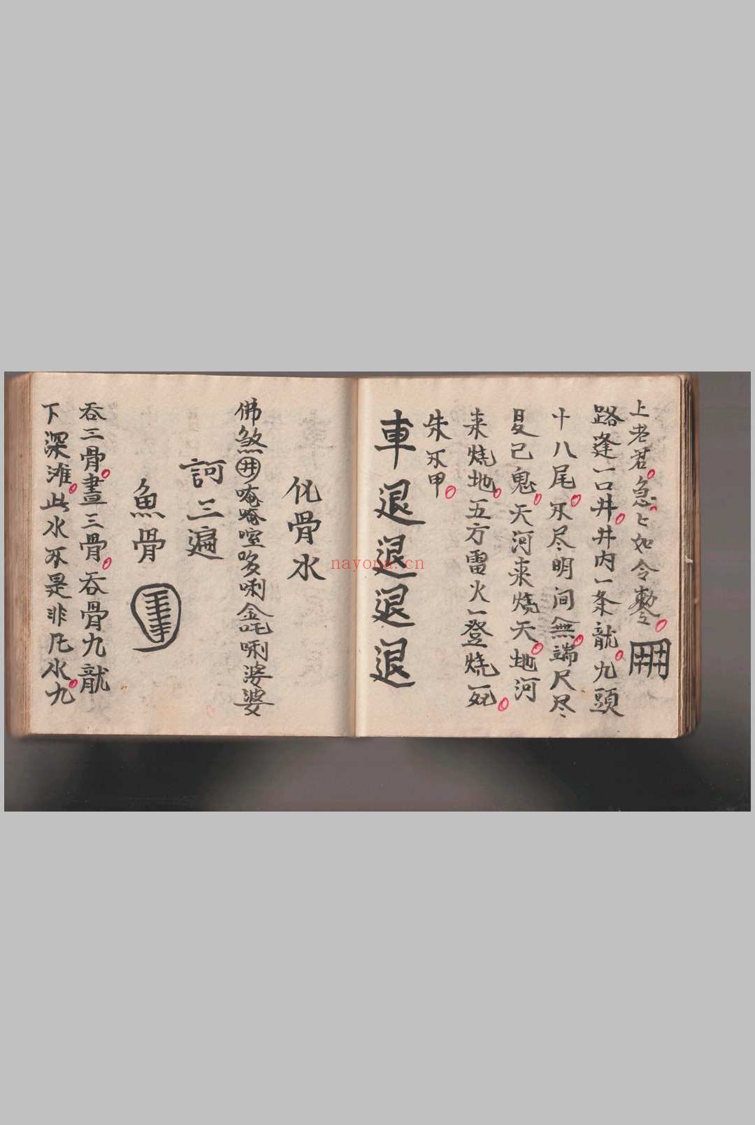 《灵仙神》水师自记