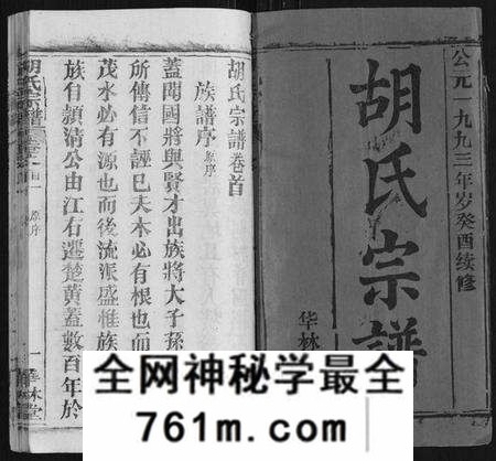 湖北胡氏族谱-胡氏宗谱[28卷首5卷].pdf电子版