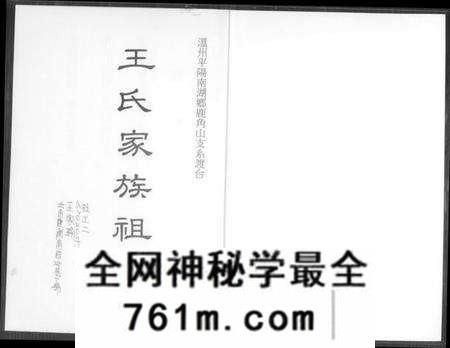 浙江王氏族谱-王氏家族祖谱.pdf电子版