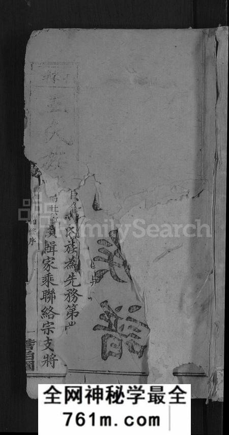 湖南王氏族谱-何家埠王氏族谱 [25卷,含首卷].pdf电子版