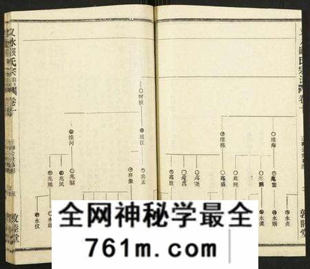 湖北严氏族谱-义水严氏宗谱.pdf电子版