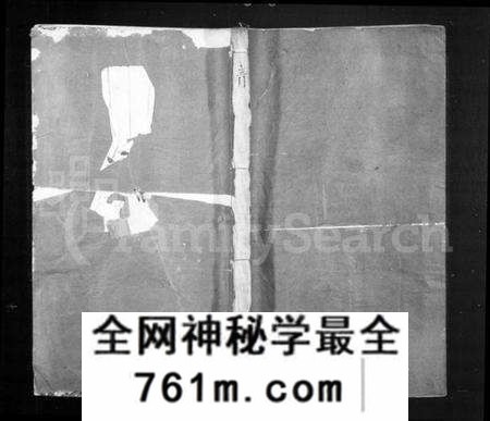 湖南龙氏族谱-城南龙氏族谱 [53卷,首4卷].pdf电子版