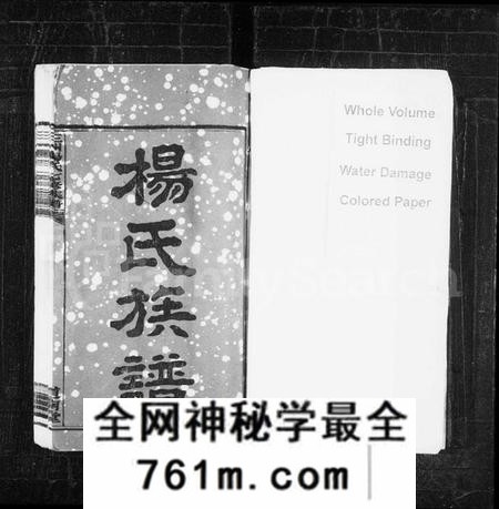 湖南杨氏族谱-杨氏族谱 [19卷,首1卷].pdf电子版