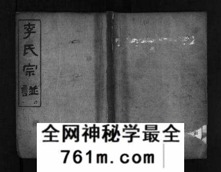 湖北李氏族谱-李氏宗谱 [8卷,首2卷,末1卷](别名：Li Shi Zong Pu).pdf电子版