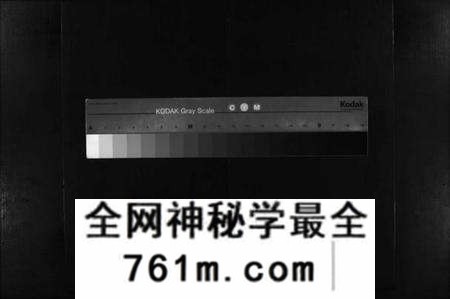 湖北唐氏族谱-唐氏宗谱 [残卷](别名：Tang Shi Zong Pu、唐氏宗谱).pdf电子版