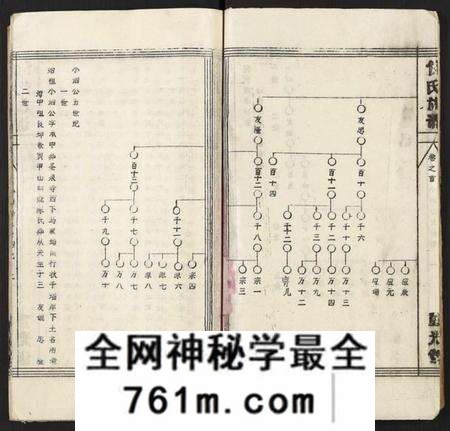 湖北倪氏族谱-倪氏族谱 [存11卷及卷首].pdf电子版