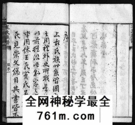 湖北王氏族谱-王氏族谱[21卷,首4卷](别名：Wong Shi Zu Pu、沙溪王氏族谱).pdf电子版