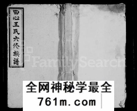 湖南王氏族谱-邵陵田心王氏六修族谱 [39卷,首末各1卷].pdf电子版