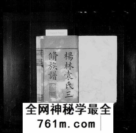 湖南袁氏族谱-杨林袁氏三修族谱 [14卷,首2卷,附录1卷].pdf电子版