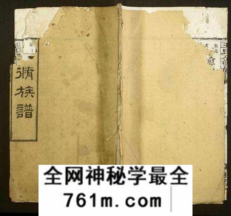 湖南王氏族谱-王氏八修族谱.pdf电子版