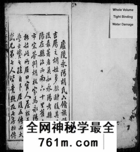 江西胡氏族谱-永阳胡氏七修族谱 [不分卷].pdf电子版