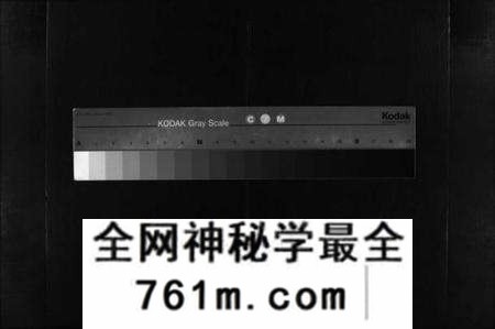 湖北胡氏族谱-胡氏宗谱 [20卷,首4卷](别名：Hu Shi Zong Pu).pdf电子版