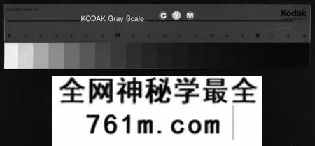 湖南谢氏族谱-谢氏通谱 [45卷,另6卷].pdf电子版