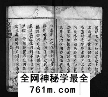 湖北未知族谱-王氏宗谱 [16卷](别名：Wang Shi Zong Pu、王氏宗谱).pdf电子版