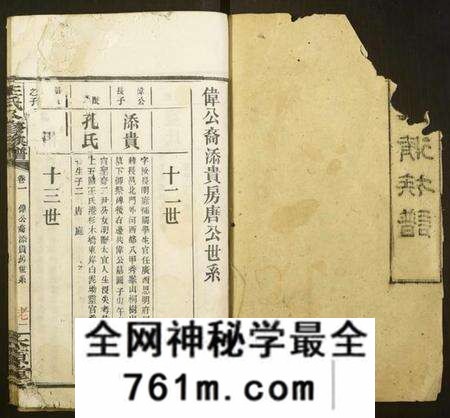 湖南王氏族谱-王氏八修族谱.pdf电子版