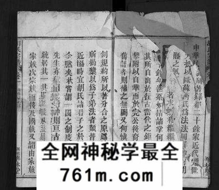 湖北胡氏族谱-胡氏宗谱 [28卷](别名：Hu Shi Zong Pu).pdf电子版