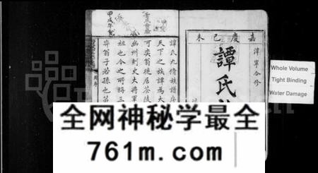湖南谭氏族谱-谭氏成初公派下家谱 [12卷,首1卷,谱翼10卷].pdf电子版