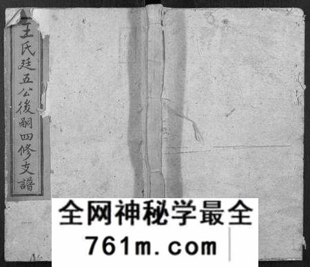 湖南王氏族谱-王氏廷五公四修支谱.pdf电子版