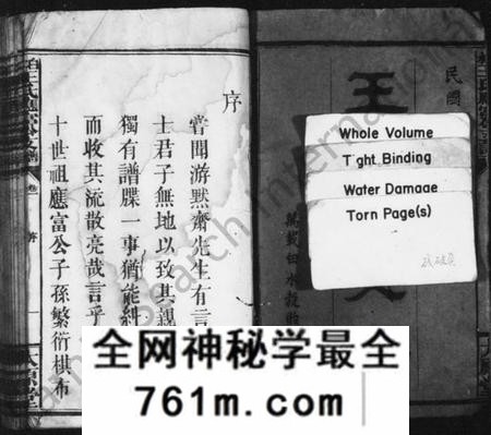 江西王氏族谱-王氏支谱 [16卷,附1卷].pdf电子版