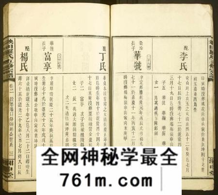 湖南罗氏族谱-秧田罗氏五修宗谱[27卷].pdf电子版