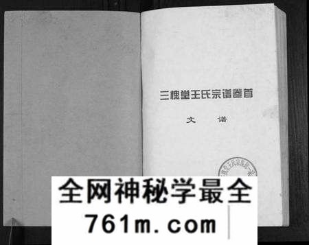 湖北王氏族谱-澴州王氏宗谱[13卷首1卷].pdf电子版