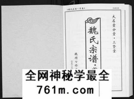 湖北魏氏族谱-魏氏宗谱[12卷首1卷附1卷].pdf电子版