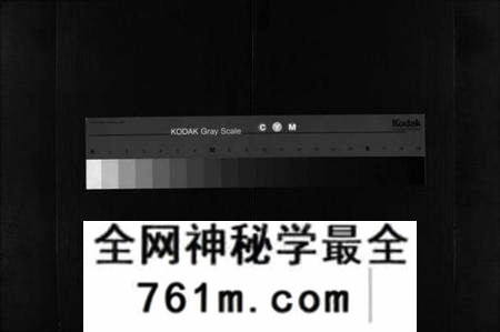 湖北林氏族谱-林氏四修族谱 [36卷](别名：林氏族谱、Lin Shi Si Xiu Zu Pu).pdf电子版