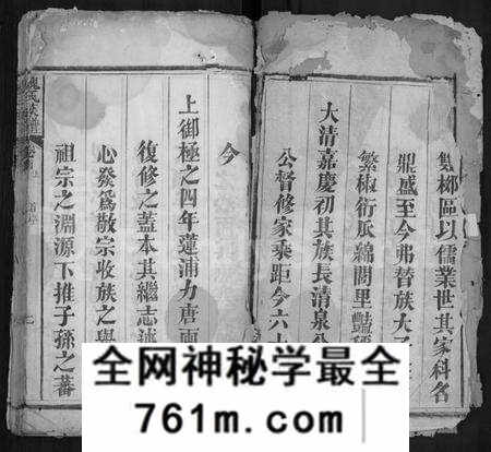 湖北魏氏族谱-魏氏族谱 [11卷,首3卷](别名：黄冈柳村魏氏续修族谱).pdf电子版