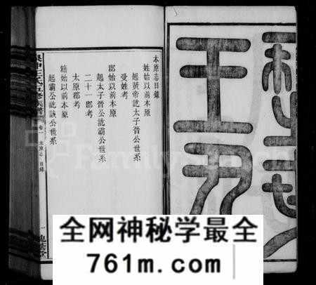 湖南王氏族谱-湘潭泉冲王氏五修族谱本原志.pdf电子版