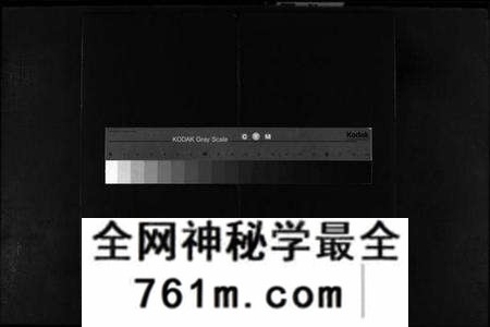 浙江许氏族谱-象河田垟迁大荆白溪许氏宗谱 [残卷].pdf电子版