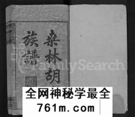 湖南胡氏族谱-桑林胡氏族谱 [16卷,首2卷].pdf电子版