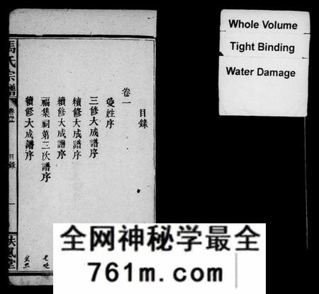 湖南马氏族谱-马氏宗谱 [14卷].pdf电子版