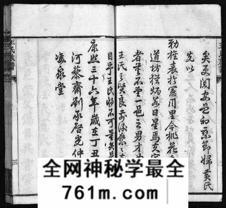 湖北王氏族谱-王氏族谱[21卷,首4卷](别名：Wong Shi Zu Pu、沙溪王氏族谱).pdf电子版