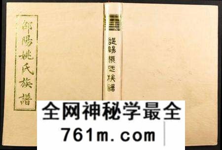 湖南姚氏族谱-邵阳姚氏族谱.pdf电子版