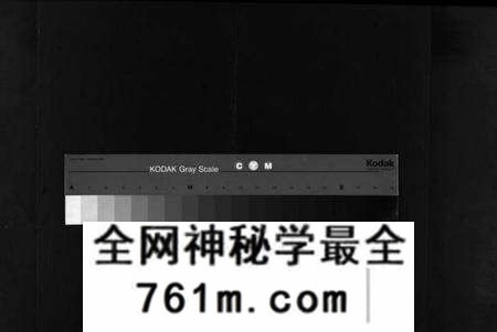 湖北徐氏族谱-徐氏重修族谱 [20卷](别名：桃林河徐氏族谱、徐氏四修族谱、Xu Shi Chong Xiu Zu Pu).pdf电子版