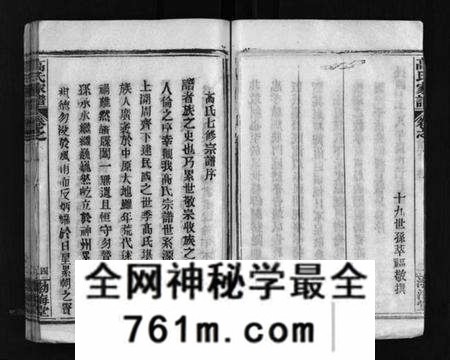 湖北高氏族谱-高氏家谱 [10卷,首2卷](别名：Gao Shi Jiapu).pdf电子版