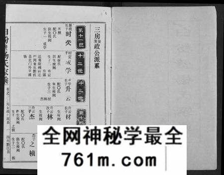 湖北杨氏族谱-白粉壁杨氏宗谱.pdf电子版