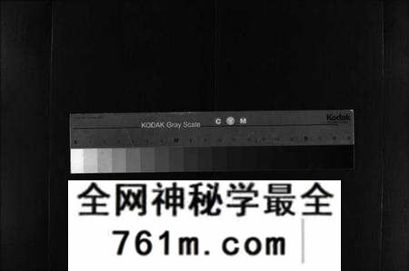 湖北杜氏族谱-杜氏宗谱 [40卷,首4卷](别名：Du Shi Zong Pu).pdf电子版