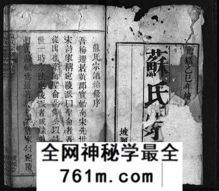 湖北苏氏族谱-苏氏宗谱 [8卷,首2卷](别名：Su Shi Zong Pu、苏氏宗谱).pdf电子版